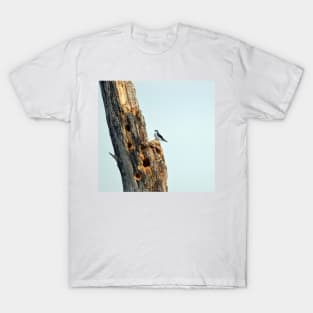 Barn Swallow T-Shirt